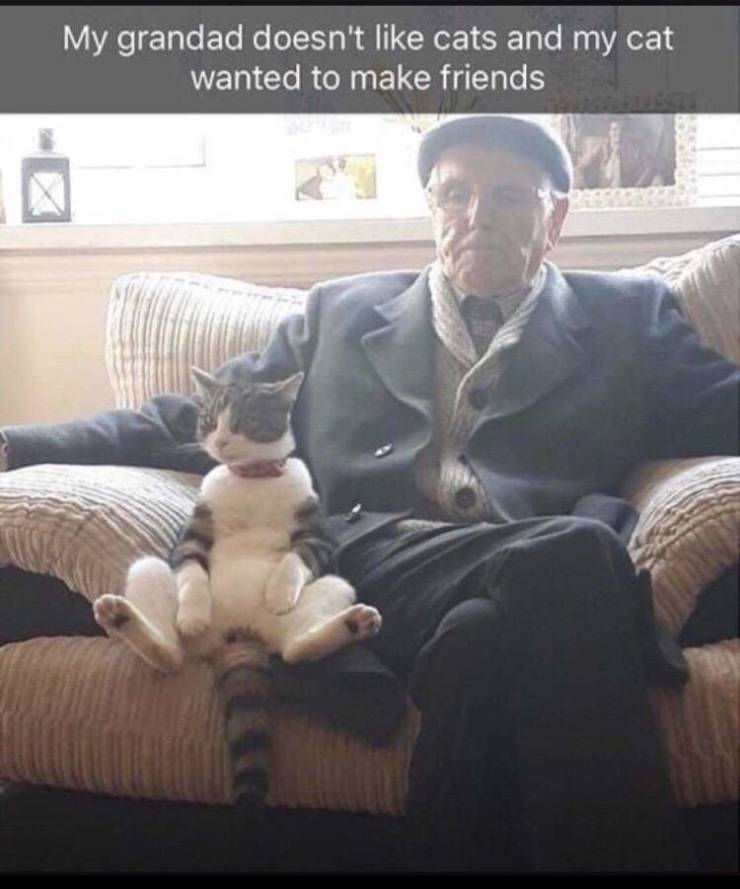 Daily Pictures. Part 2 (71 pics) Daily Pictures. Part 2 (71 pics)