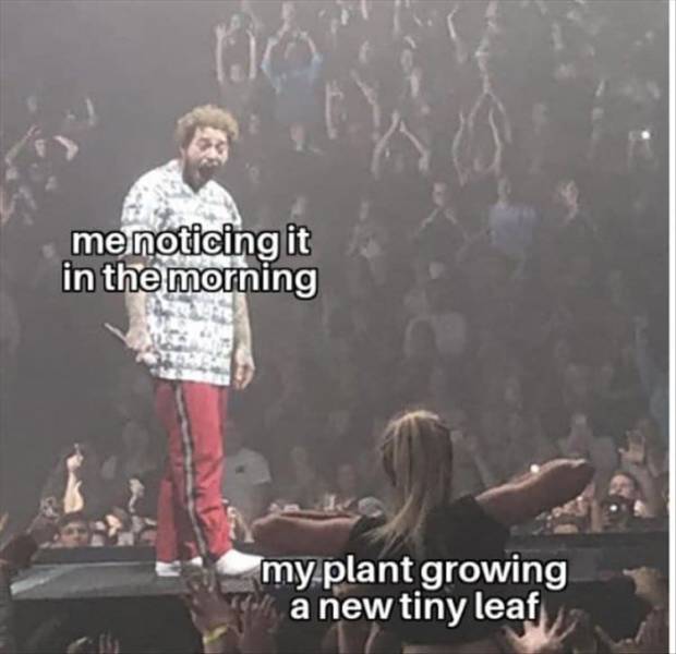 Daily Pictures. Part 2 (71 pics) Daily Pictures. Part 2 (71 pics)