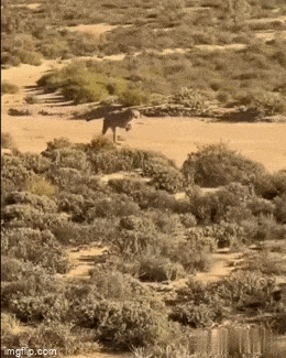 Acid GIFs, November 13 (25 gifs) Acid GIFs, November 13 (25 gifs)