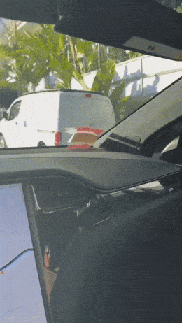 Acid GIFs, November 13 (25 gifs) Acid GIFs, November 13 (25 gifs)