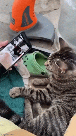 Acid GIFs, November 13 (25 gifs) Acid GIFs, November 13 (25 gifs)