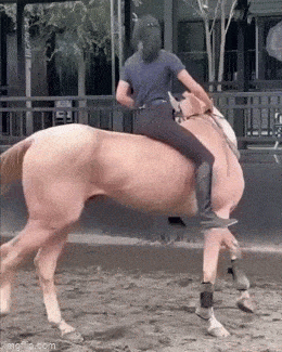 Acid GIFs, November 13 (25 gifs) Acid GIFs, November 13 (25 gifs)