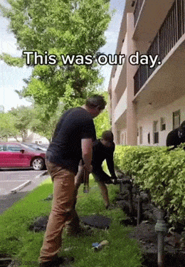 Acid GIFs, November 13 (25 gifs) Acid GIFs, November 13 (25 gifs)