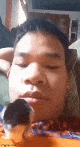 Acid GIFs, November 13 (25 gifs) Acid GIFs, November 13 (25 gifs)