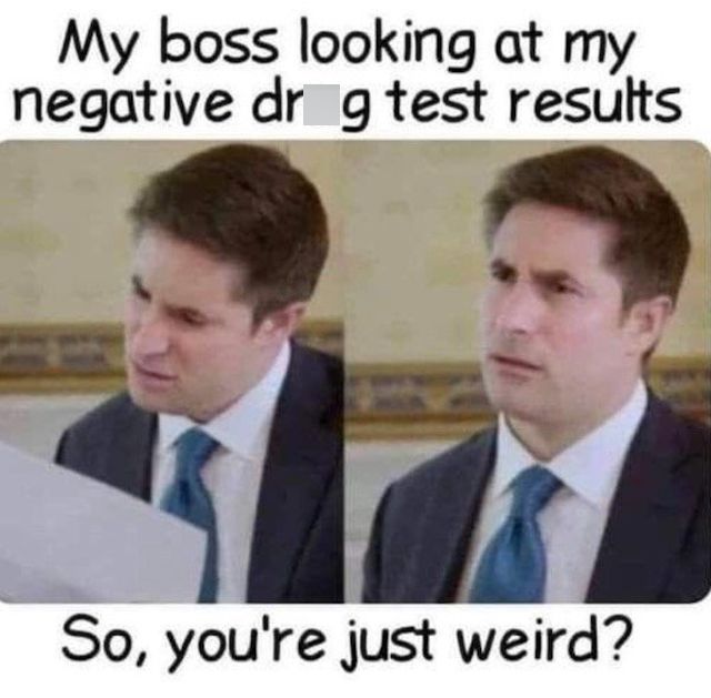 Random Memes (33 pics)