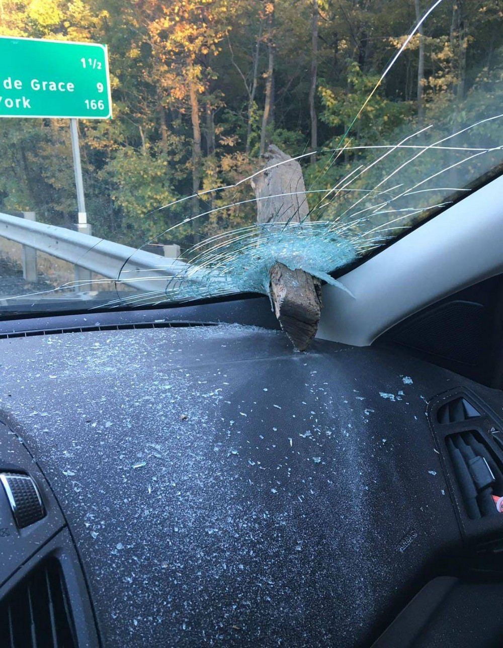 Bad Days Happen (35 pics)