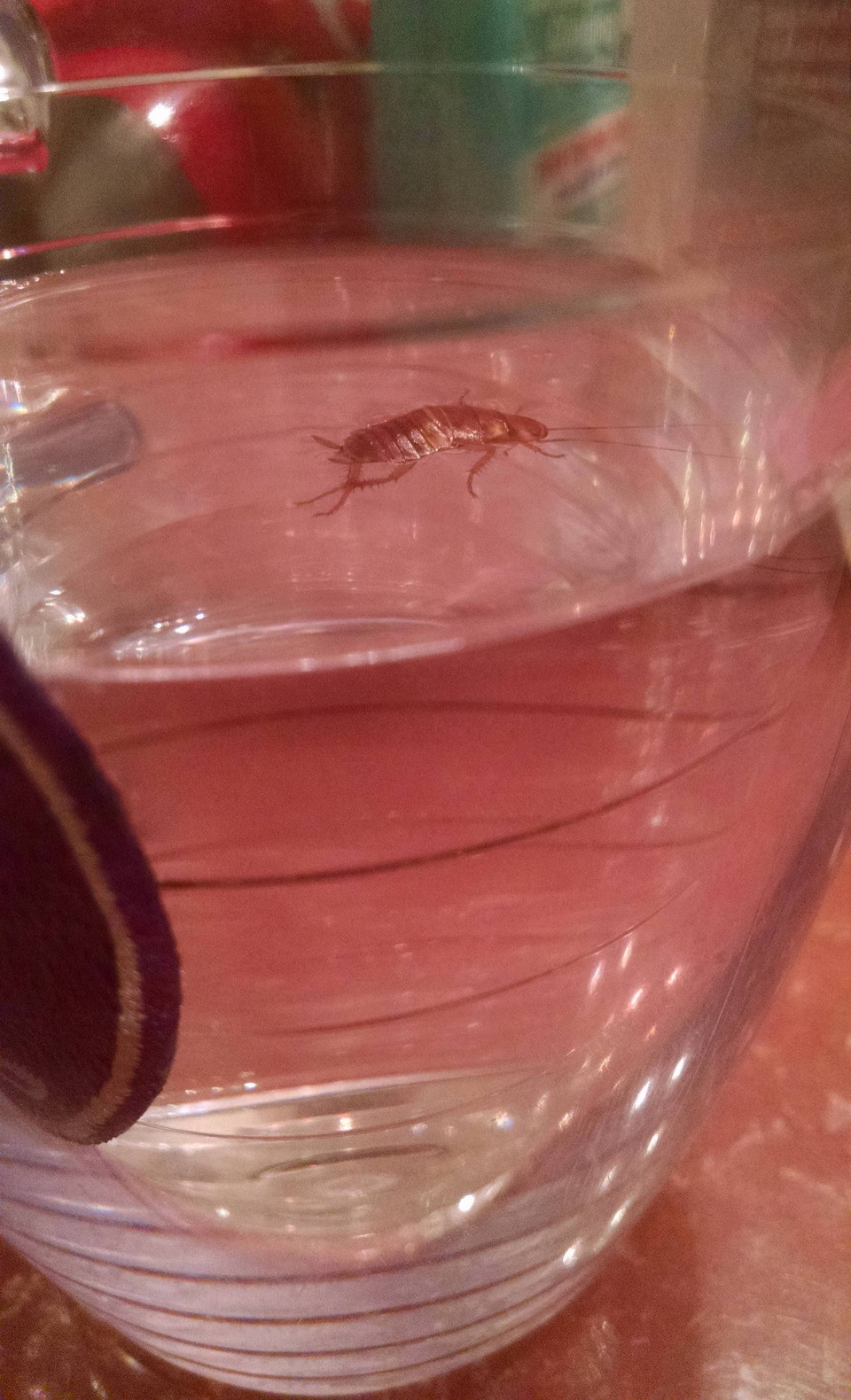 Unfortunate Situations (27 pics)