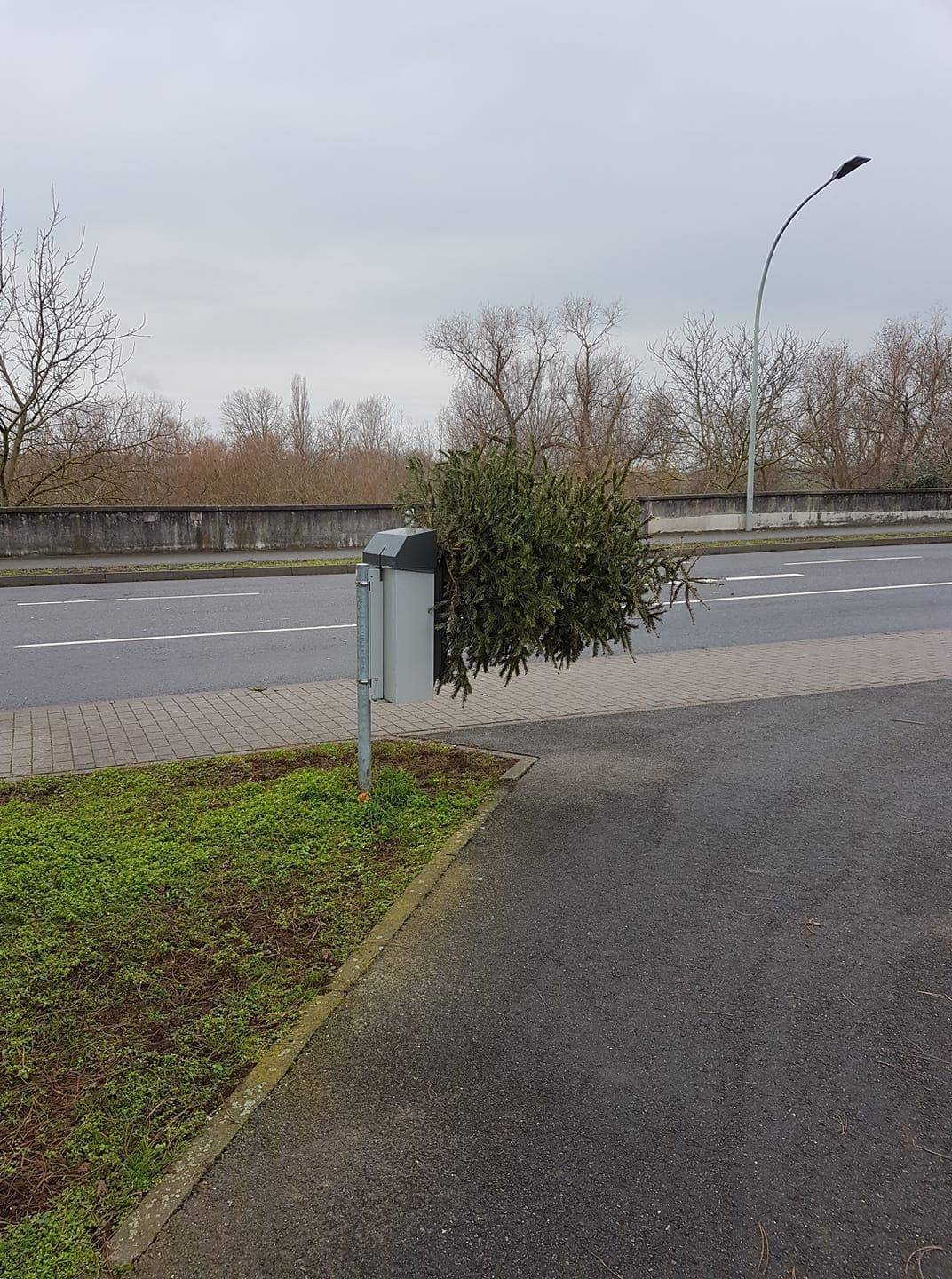 Daily Pictures. Part 1 (67 pics)