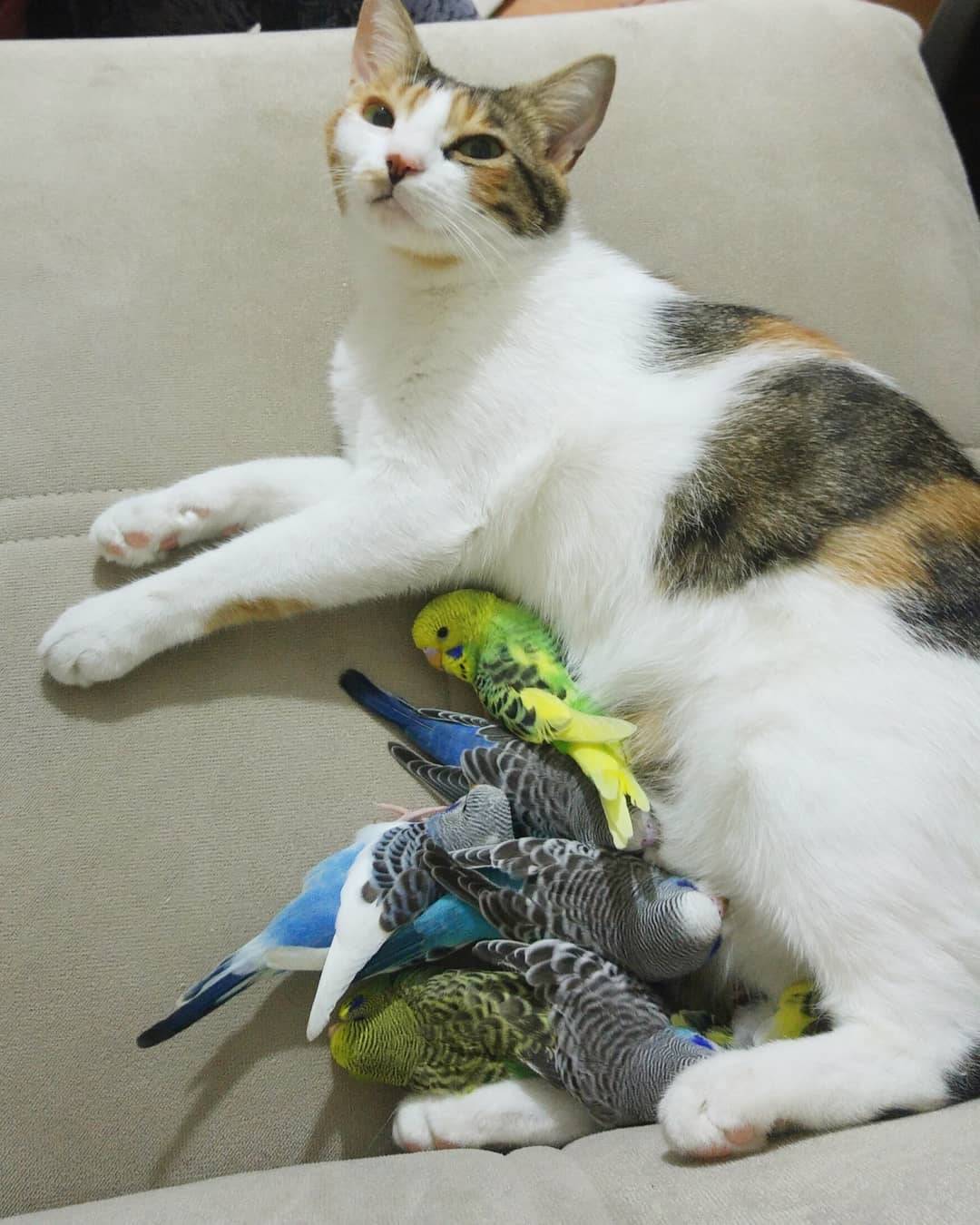 Daily Pictures. Part 1 (67 pics)