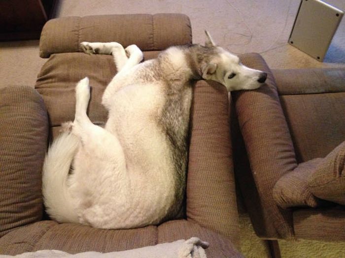 Daily Pictures. Part 1 (67 pics)