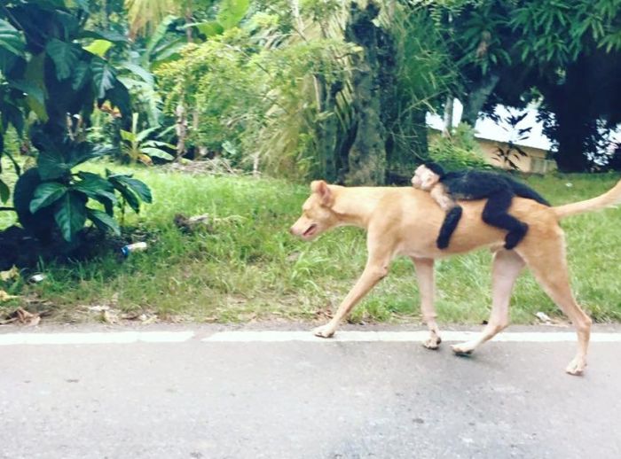 Daily Pictures. Part 1 (67 pics)