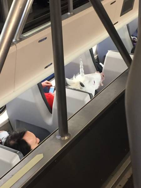 Daily Pictures. Part 1 (67 pics)