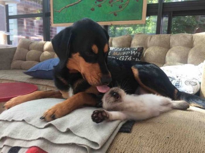 Daily Pictures. Part 1 (67 pics)