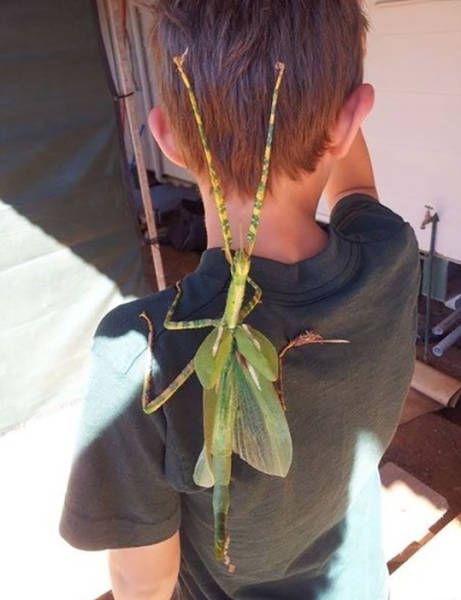 Daily Pictures. Part 1 (67 pics)