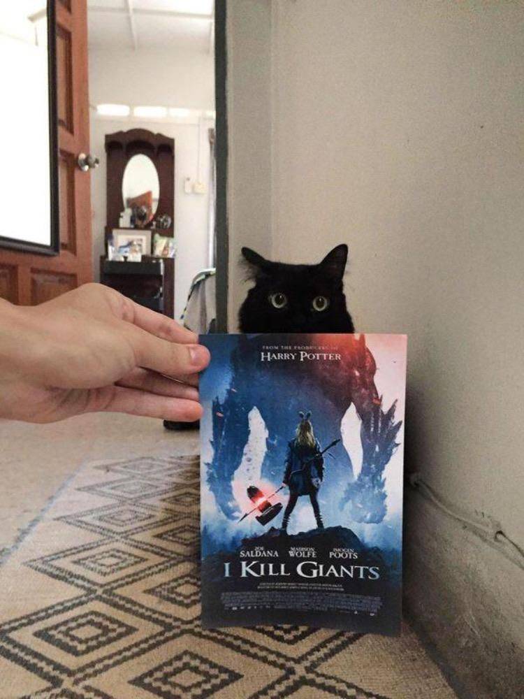 Daily Pictures. Part 2 (66 pics) Daily Pictures. Part 2 (66 pics)