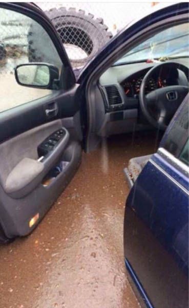 Daily Pictures. Part 1 (67 pics)