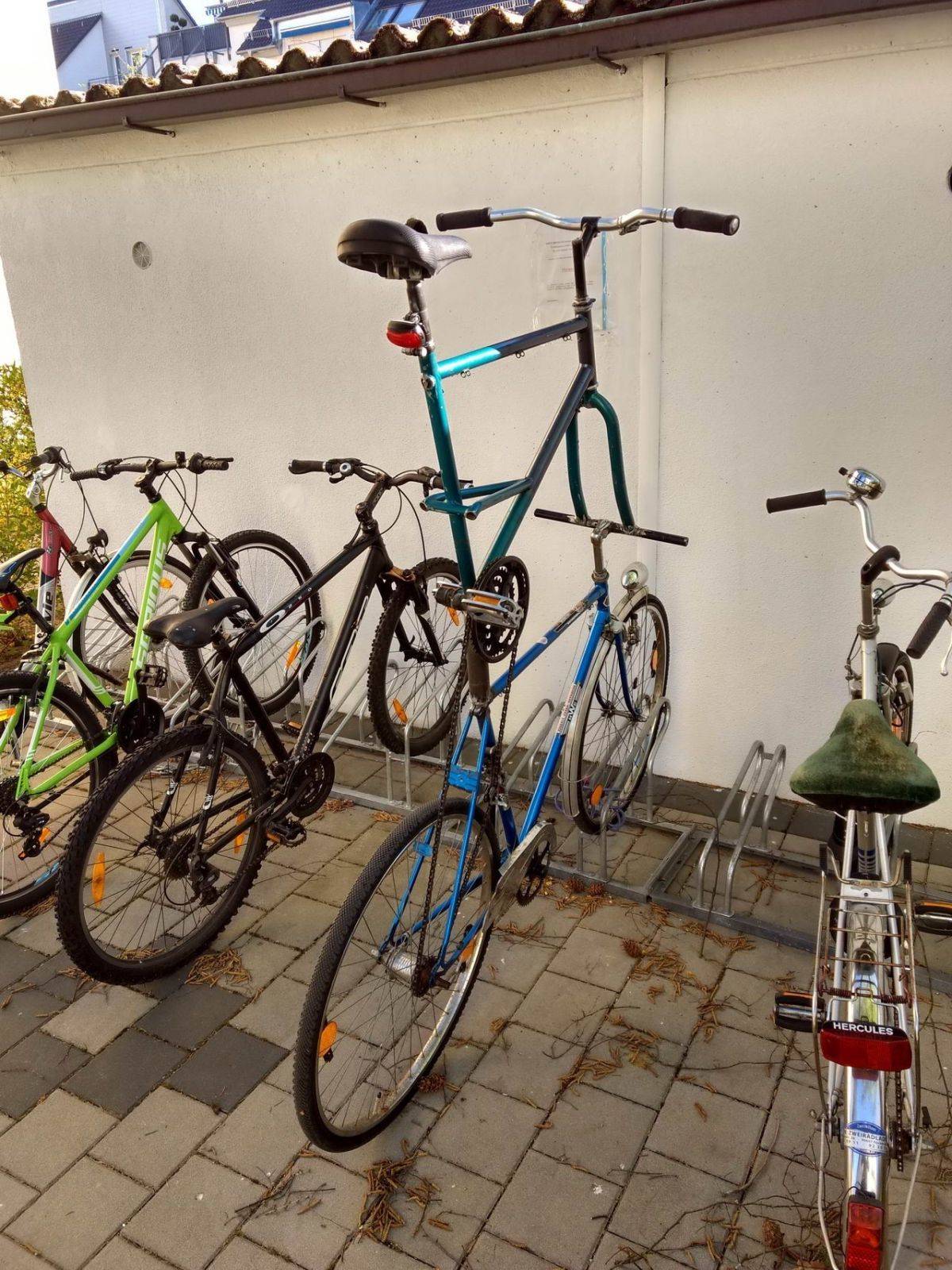 Daily Pictures. Part 2 (66 pics) Daily Pictures. Part 2 (66 pics)