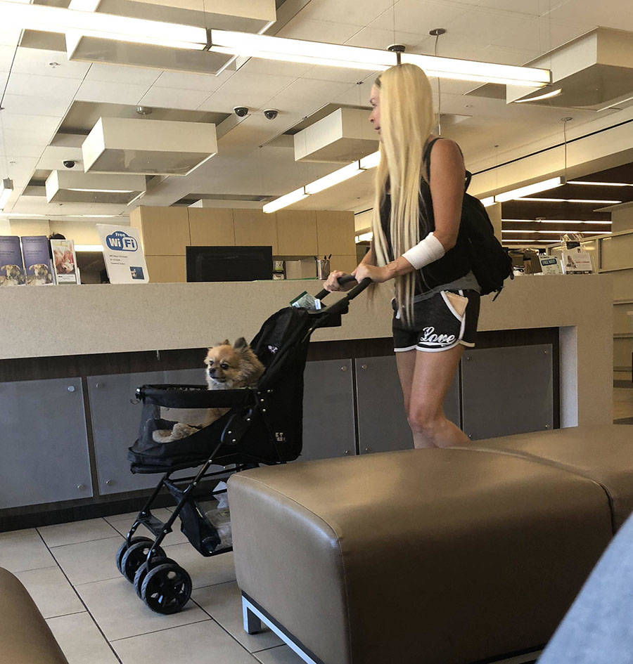 Daily Pictures. Part 1 (67 pics)