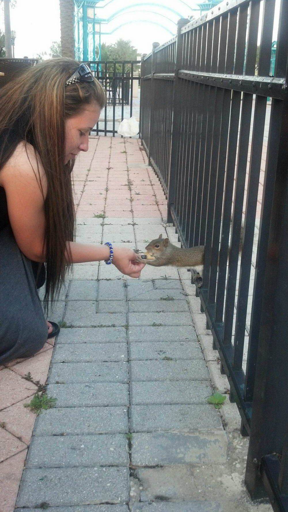 Daily Pictures. Part 1 (67 pics)