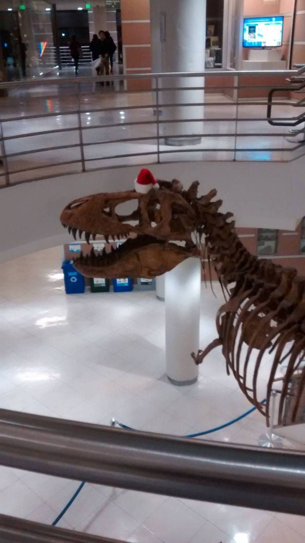 Daily Pictures. Part 2 (66 pics) Daily Pictures. Part 2 (66 pics)