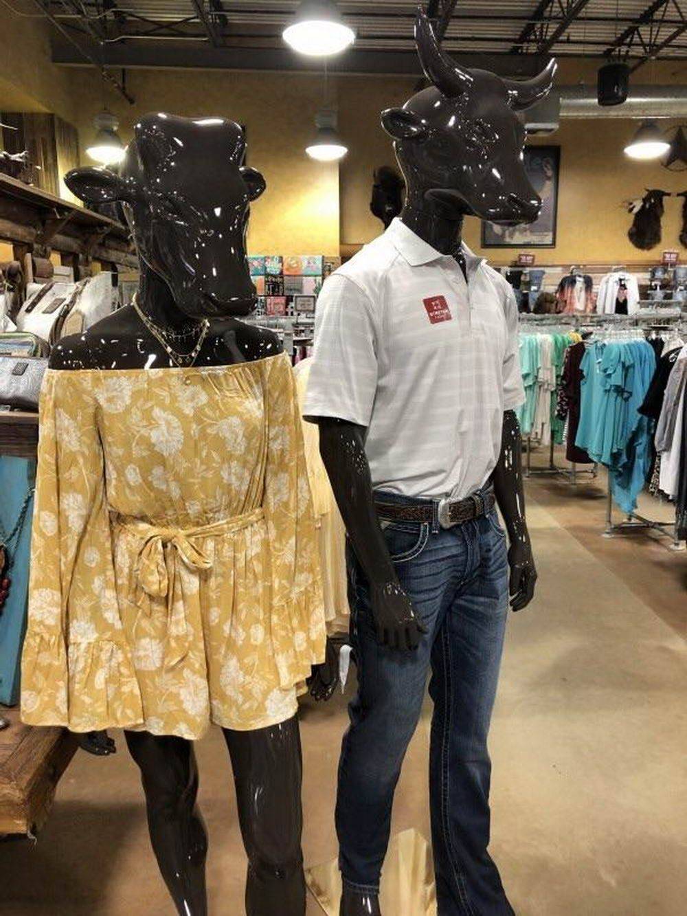 Daily Pictures. Part 2 (66 pics) Daily Pictures. Part 2 (66 pics)