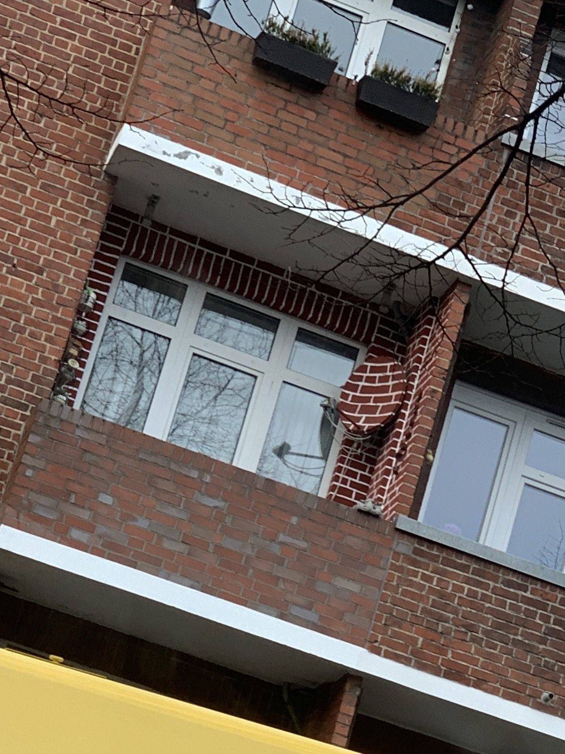 Daily Pictures. Part 2 (66 pics) Daily Pictures. Part 2 (66 pics)