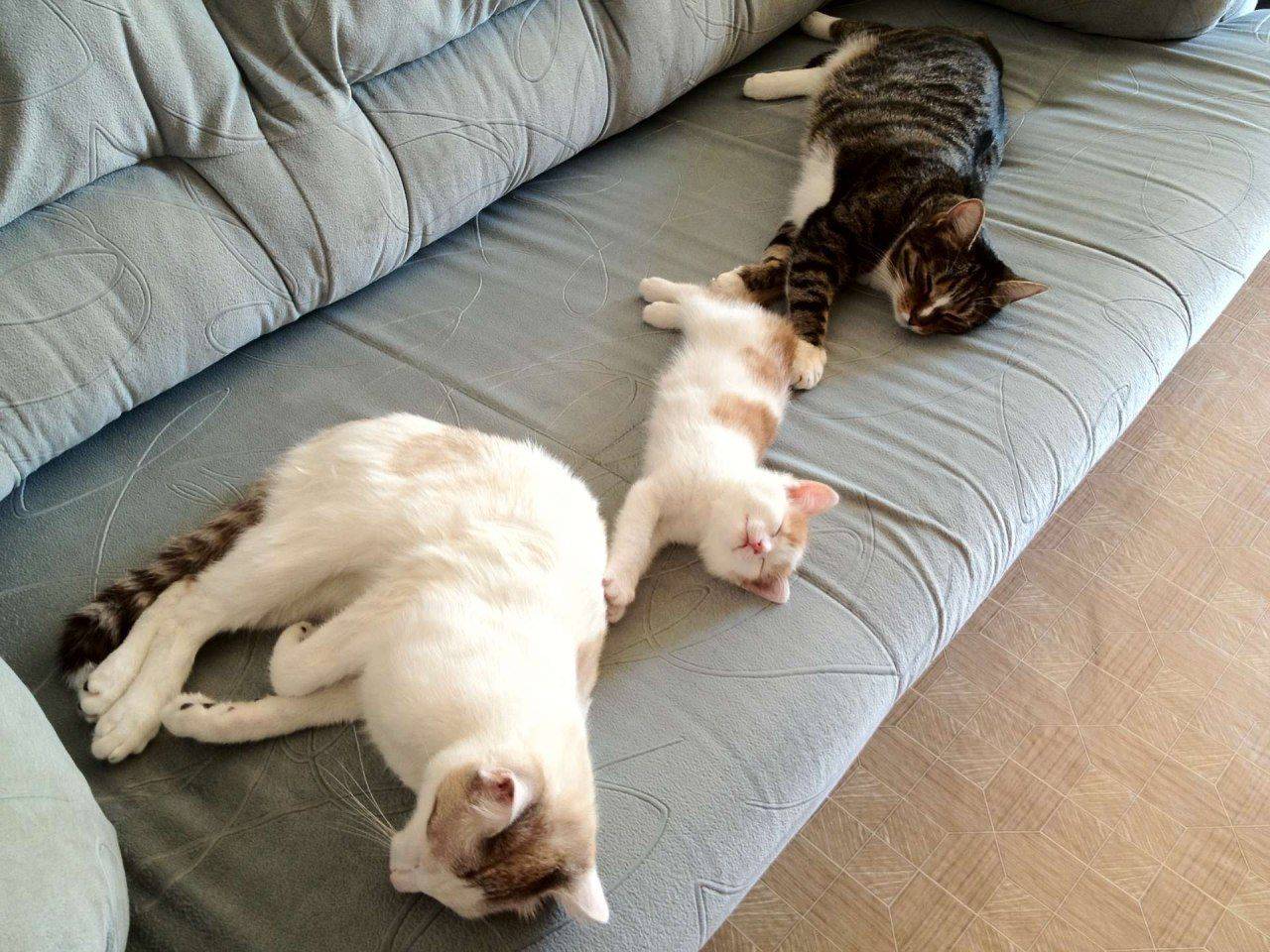 Daily Pictures. Part 2 (66 pics) Daily Pictures. Part 2 (66 pics)