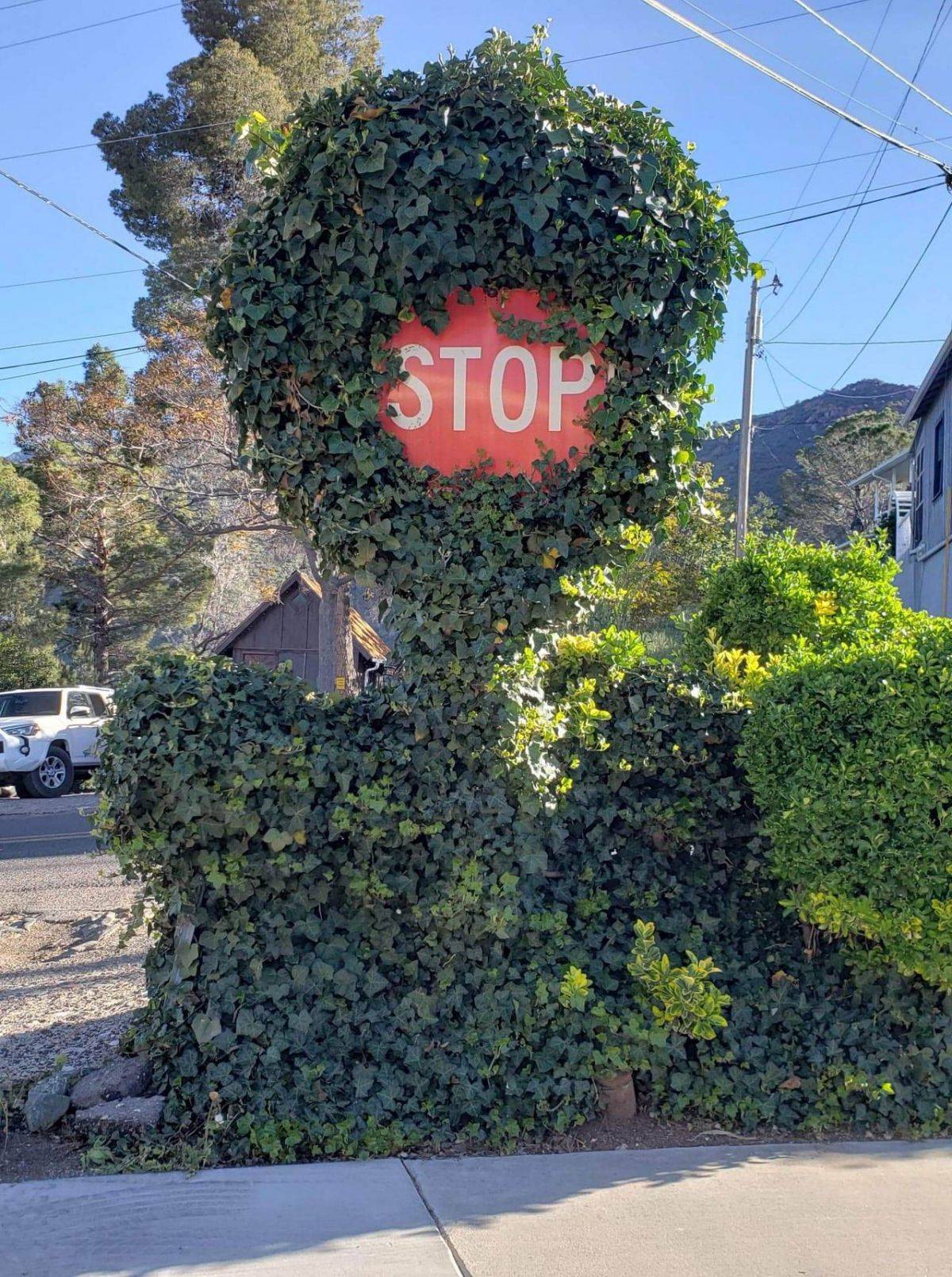 Daily Pictures. Part 2 (66 pics) Daily Pictures. Part 2 (66 pics)