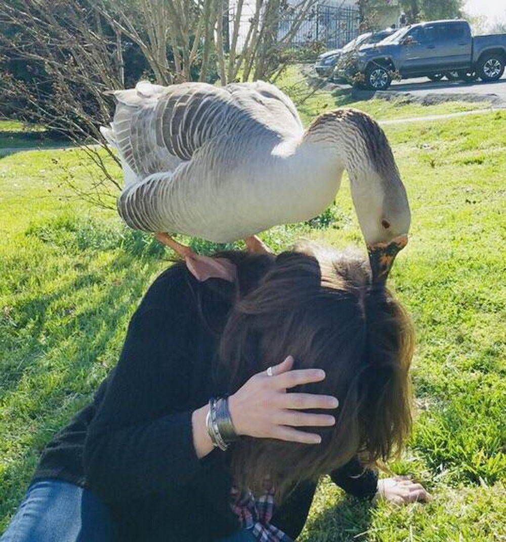 Daily Pictures. Part 2 (66 pics) Daily Pictures. Part 2 (66 pics)