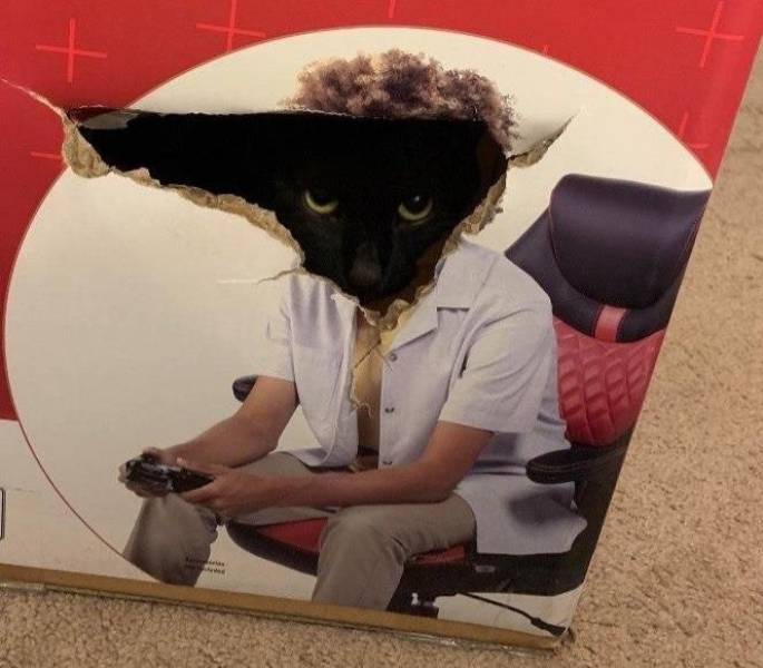 Daily Pictures. Part 2 (66 pics) Daily Pictures. Part 2 (66 pics)