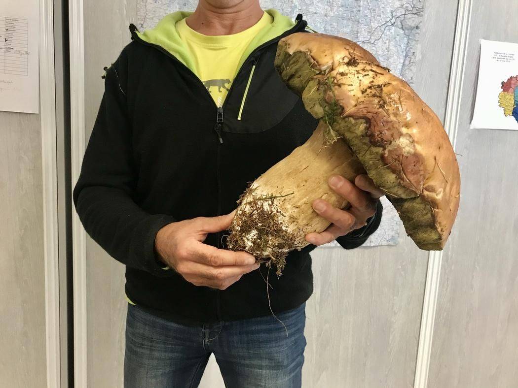 Daily Pictures. Part 1 (67 pics)