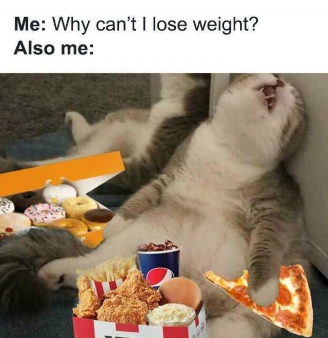 Daily Pictures. Part 2 (66 pics) Daily Pictures. Part 2 (66 pics)