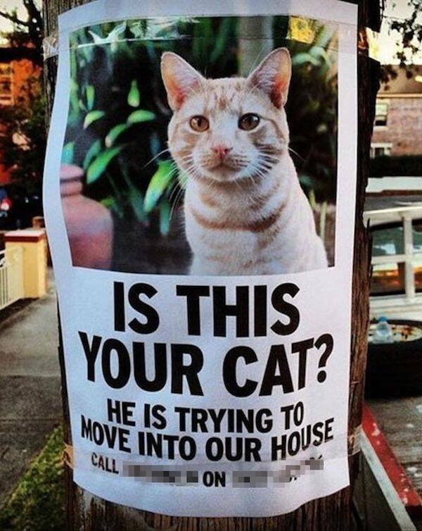 Daily Pictures. Part 2 (66 pics) Daily Pictures. Part 2 (66 pics)