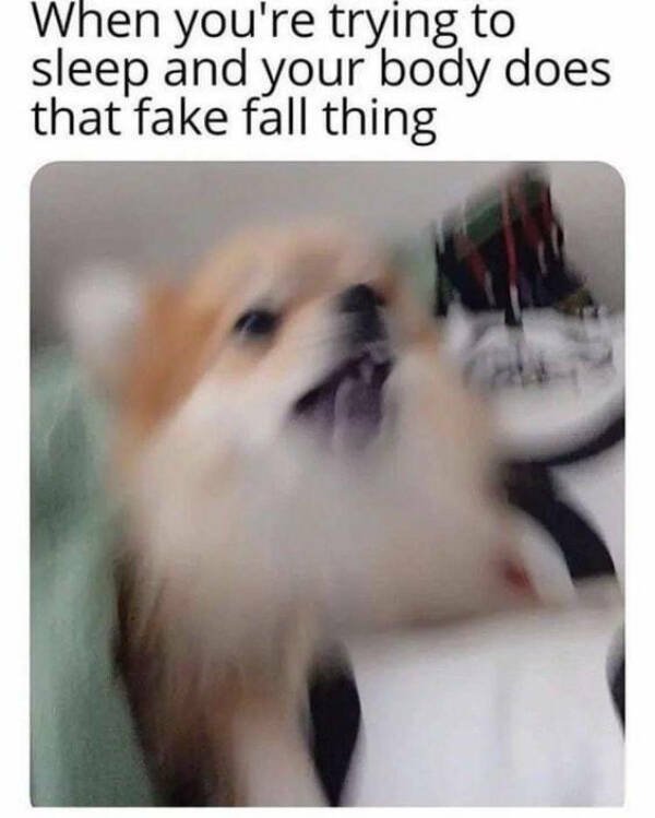 Daily Pictures. Part 2 (66 pics) Daily Pictures. Part 2 (66 pics)