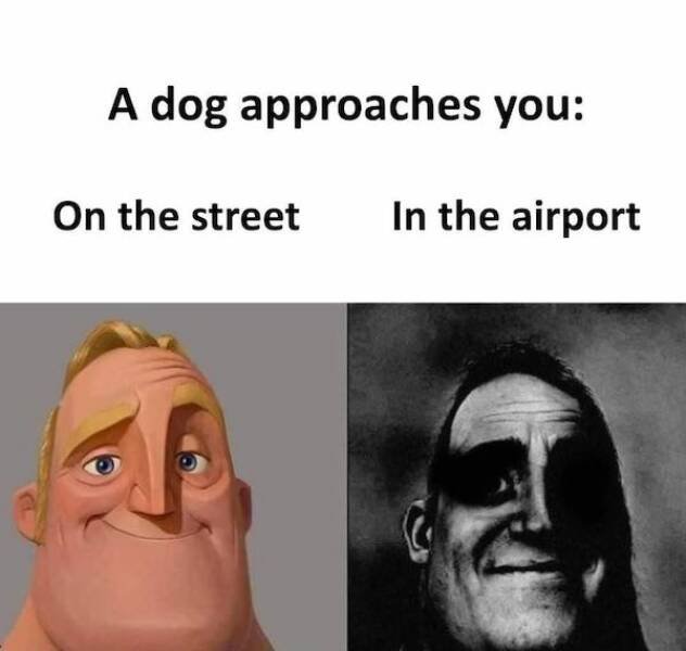 Daily Pictures. Part 2 (66 pics) Daily Pictures. Part 2 (66 pics)