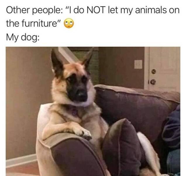 Daily Pictures. Part 2 (66 pics) Daily Pictures. Part 2 (66 pics)