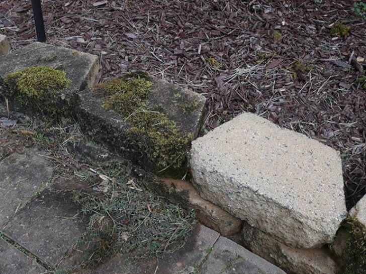 Before And After Cleaning (27 pics) Before And After Cleaning (27 pics)