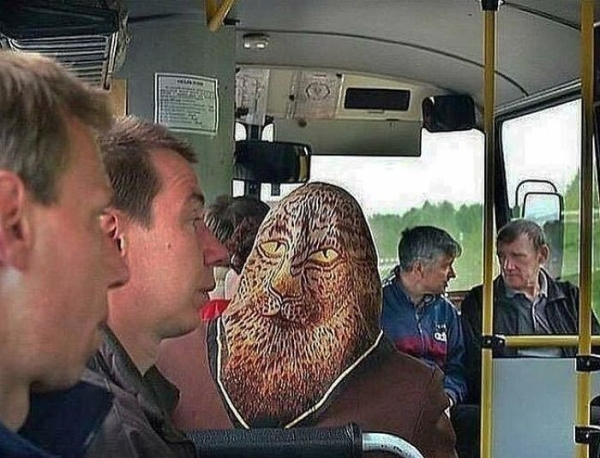 Strange People In Public Transport (20 pics) Strange People In Public Transport (20 pics)