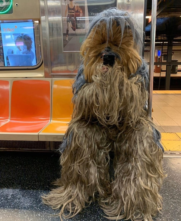 Strange People In Public Transport (20 pics) Strange People In Public Transport (20 pics)