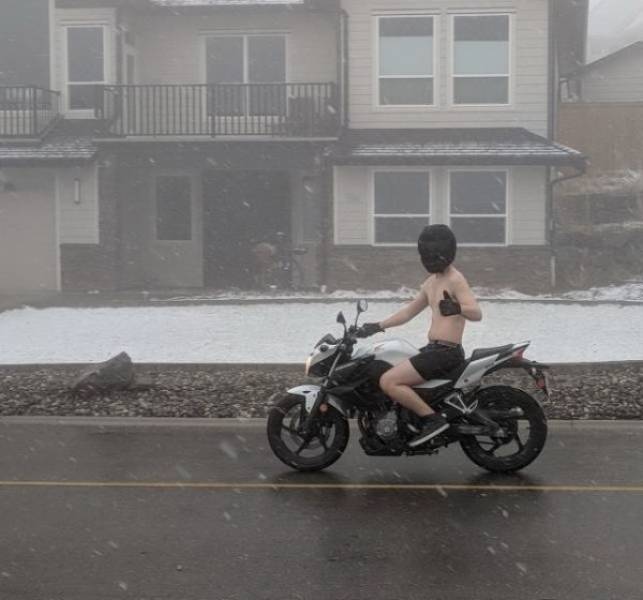 Daily Pictures. Part 1 (70 pics)