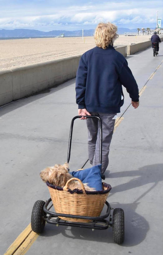 Daily Pictures. Part 1 (70 pics)