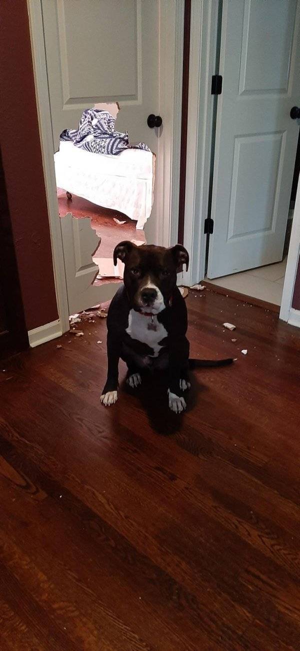 Daily Pictures. Part 1 (70 pics)