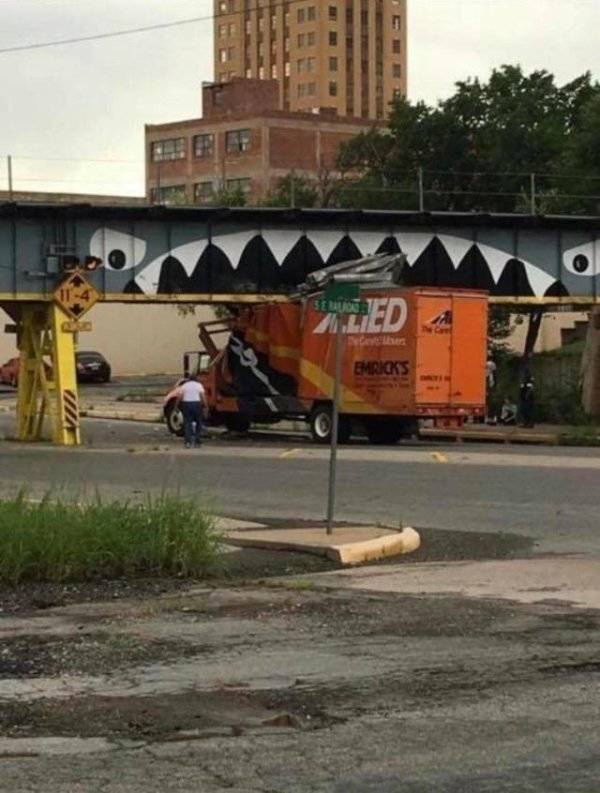 Daily Pictures. Part 1 (70 pics)