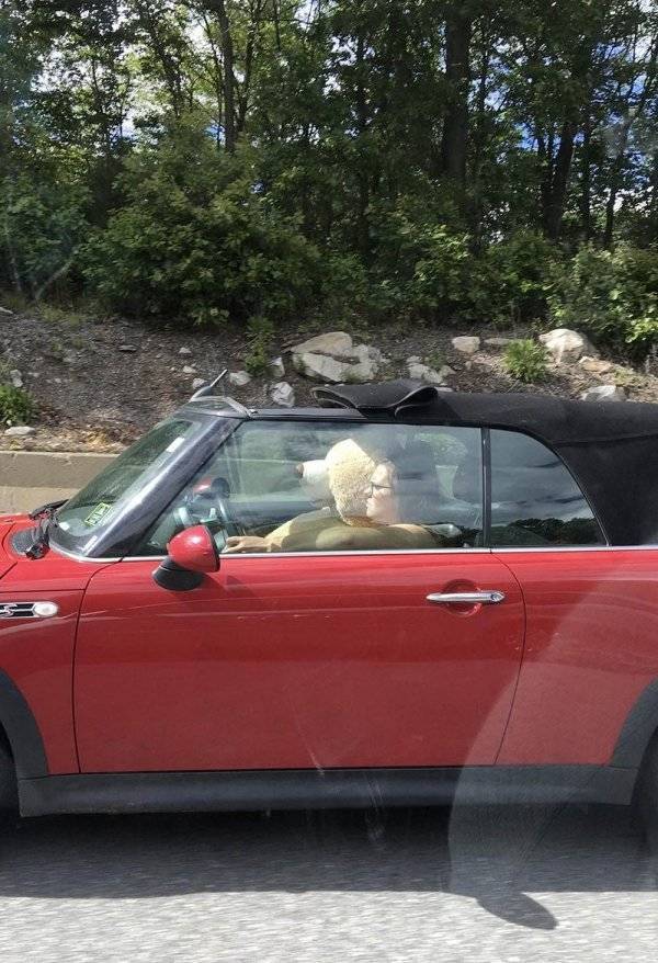 Daily Pictures. Part 1 (70 pics)