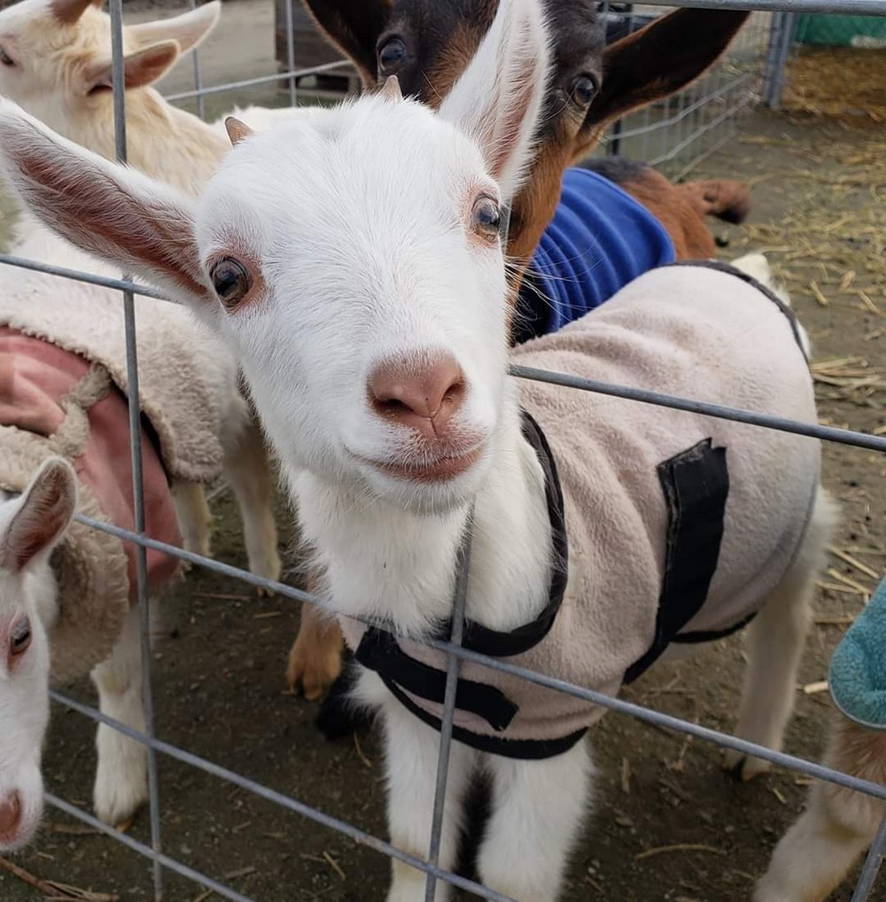 Daily Pictures. Part 1 (70 pics)