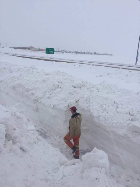 Daily Pictures. Part 1 (70 pics)