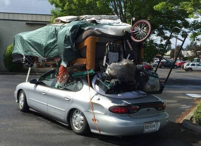 Daily Pictures. Part 1 (70 pics)