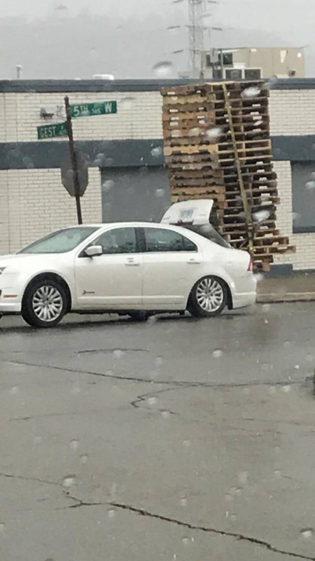 Daily Pictures. Part 1 (70 pics)