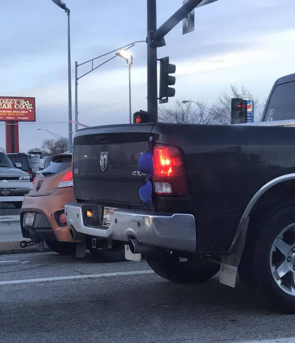 Daily Pictures. Part 1 (70 pics)