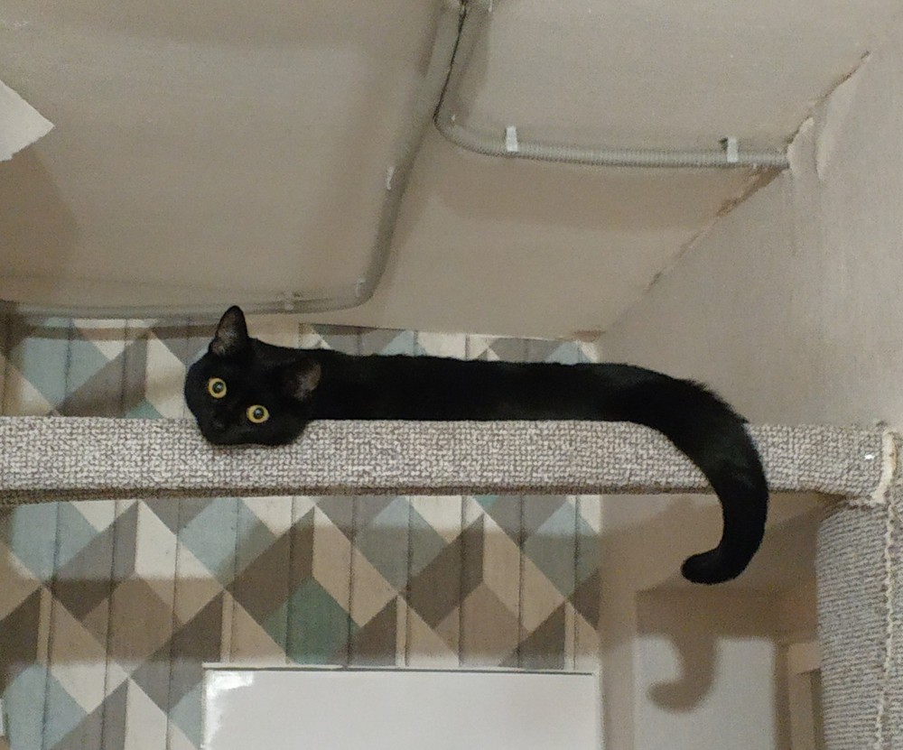 Daily Pictures. Part 2 (69 pics)